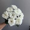 Купить цветы в магазине в городе Адлер-Сочи