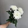 Купить цветы в магазине в городе Адлер-Сочи