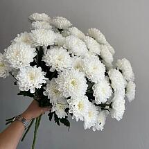 Купить цветы в магазине в городе Сочи