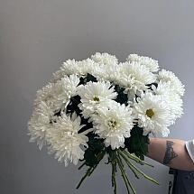 Купить цветы в магазине в городе Адлер-Сочи
