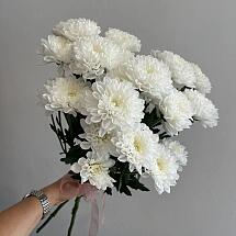 Купить цветы в магазине в городе Адлер-Сочи